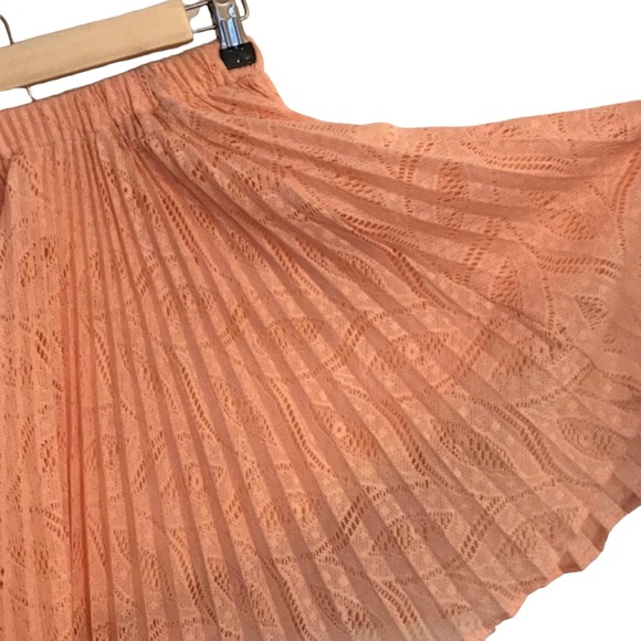 Pins & Needles Accordion Lace Skirt - Picture 3 of 4